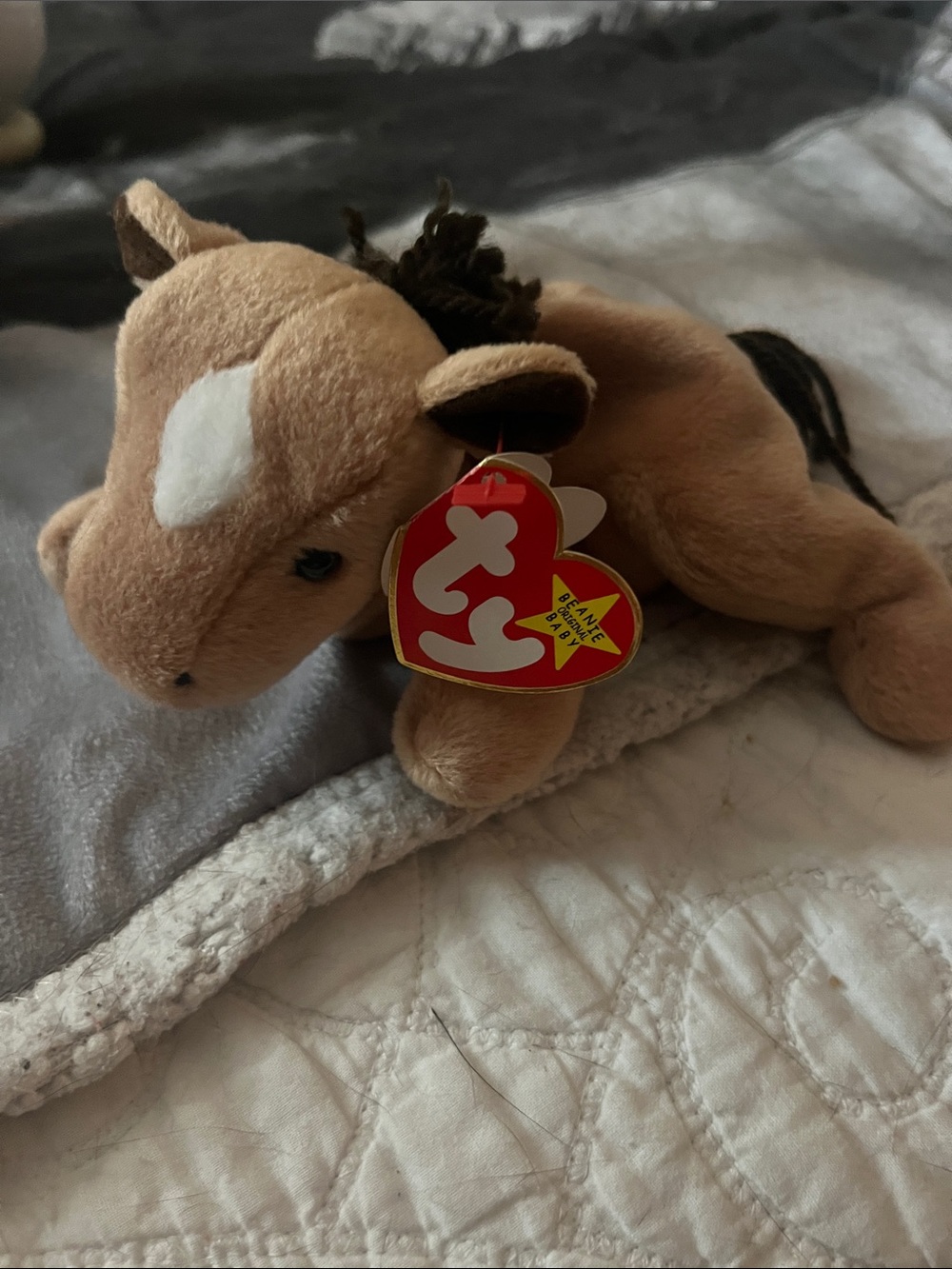Ty Derby Beanie Baby